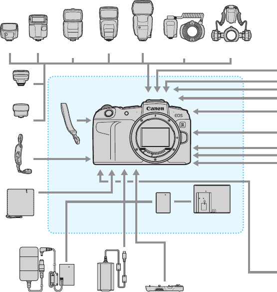 Handleiding Canon EOS RP (pagina 2 Van 21) (Nederlands)