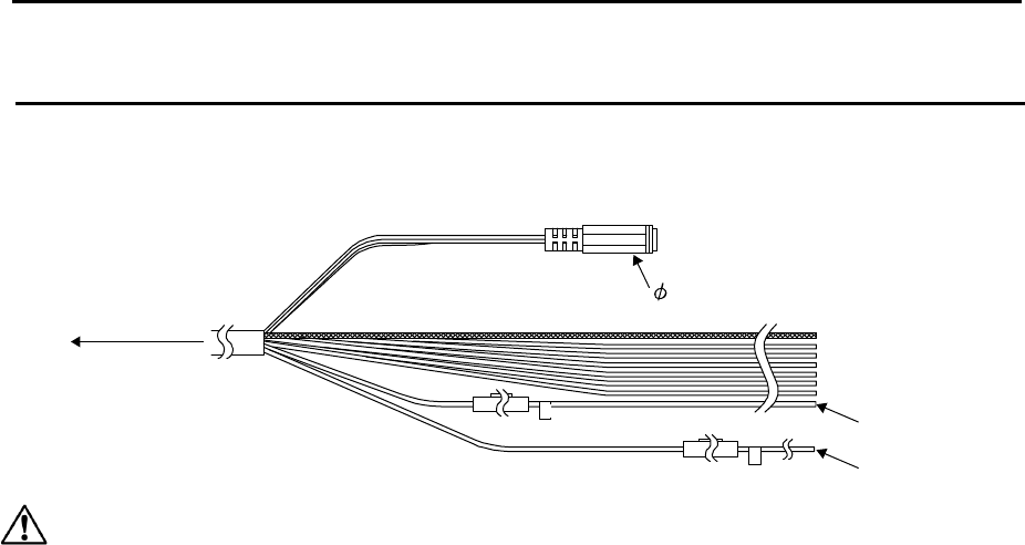 cvs vga cable